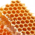 beeswax
