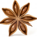 Star Aniese