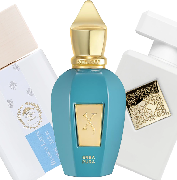 Clean Sweet Energy Bundle