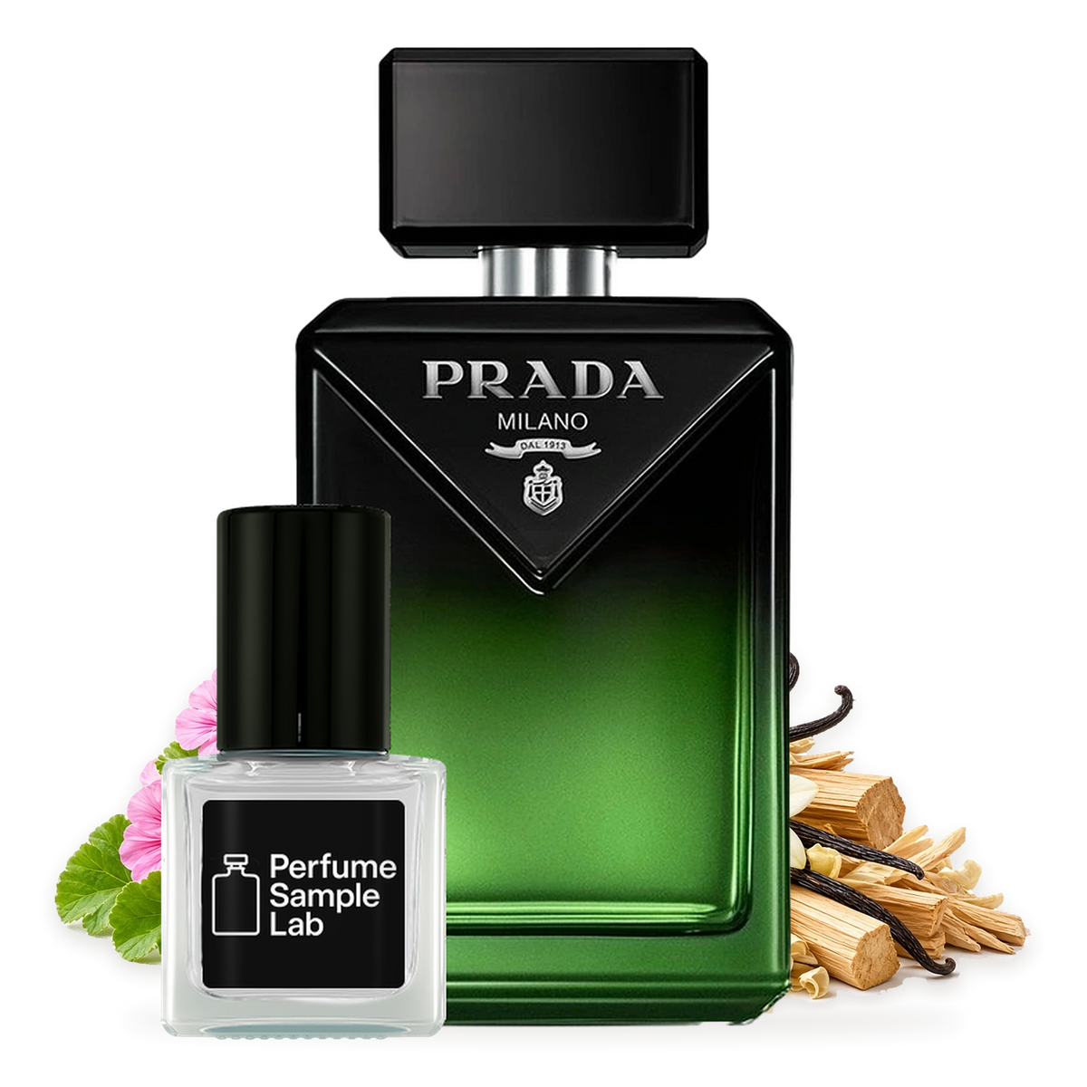 Prada Paradigme Le Parfum – notes and ingredients