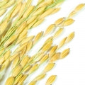 Rice Basmati