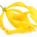 YIang-YIang