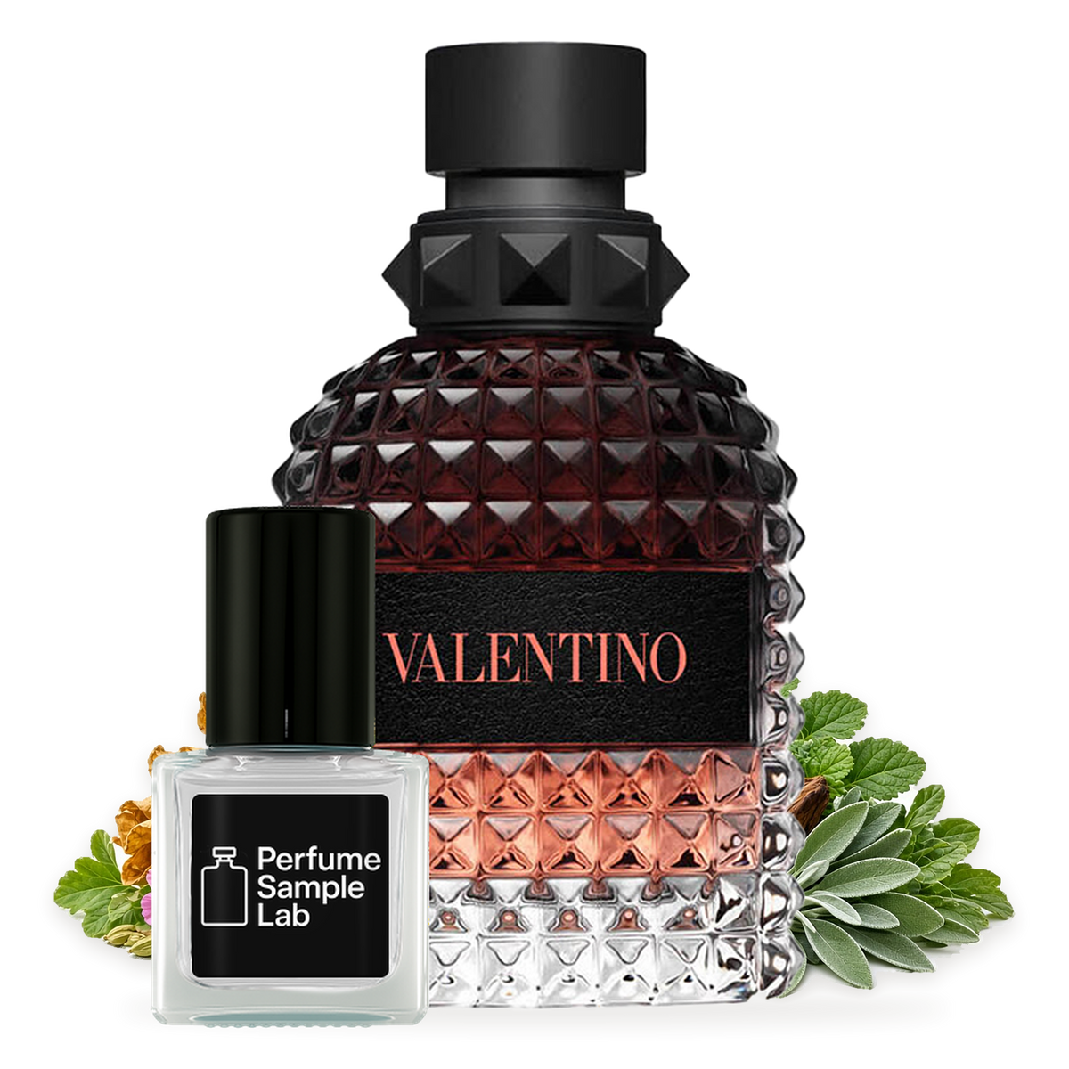 Valentino Born in Roma Coral Fantasy – notes and ingredients