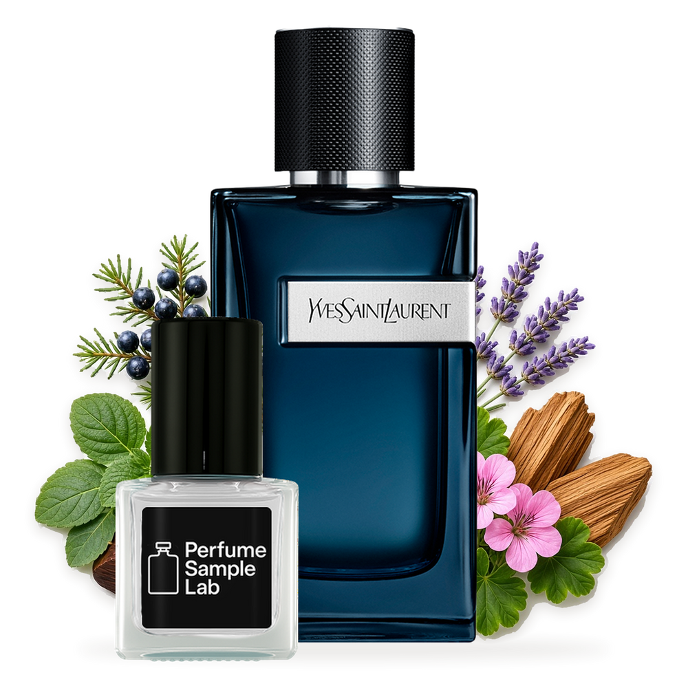 YSL Y Intense – notes and ingredients