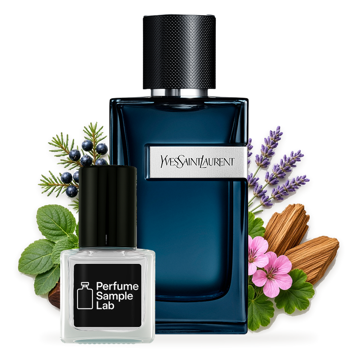 YSL Y Intense – notes and ingredients