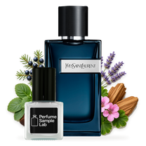 YSL Y Intense – notes and ingredients