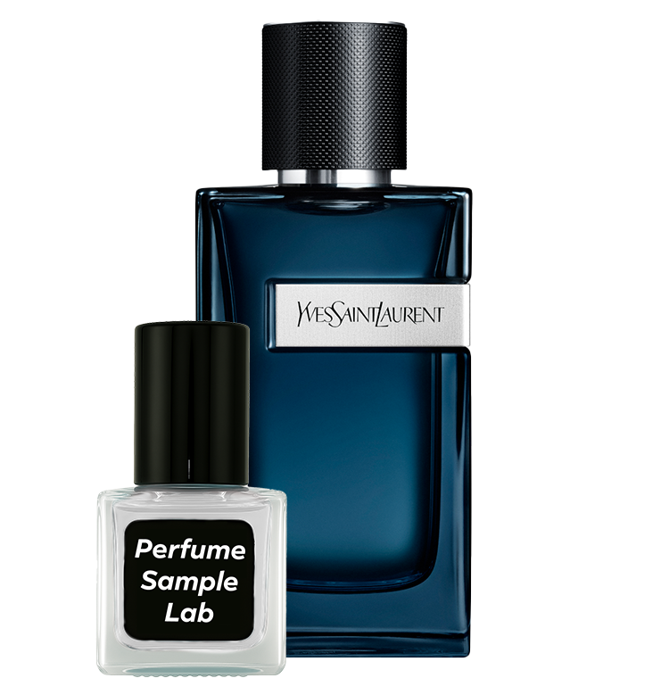YSL Y Intense