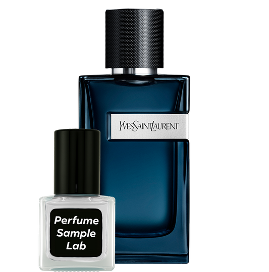 YSL Y Intense
